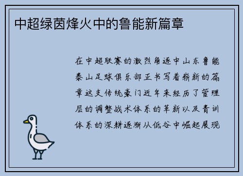 中超绿茵烽火中的鲁能新篇章